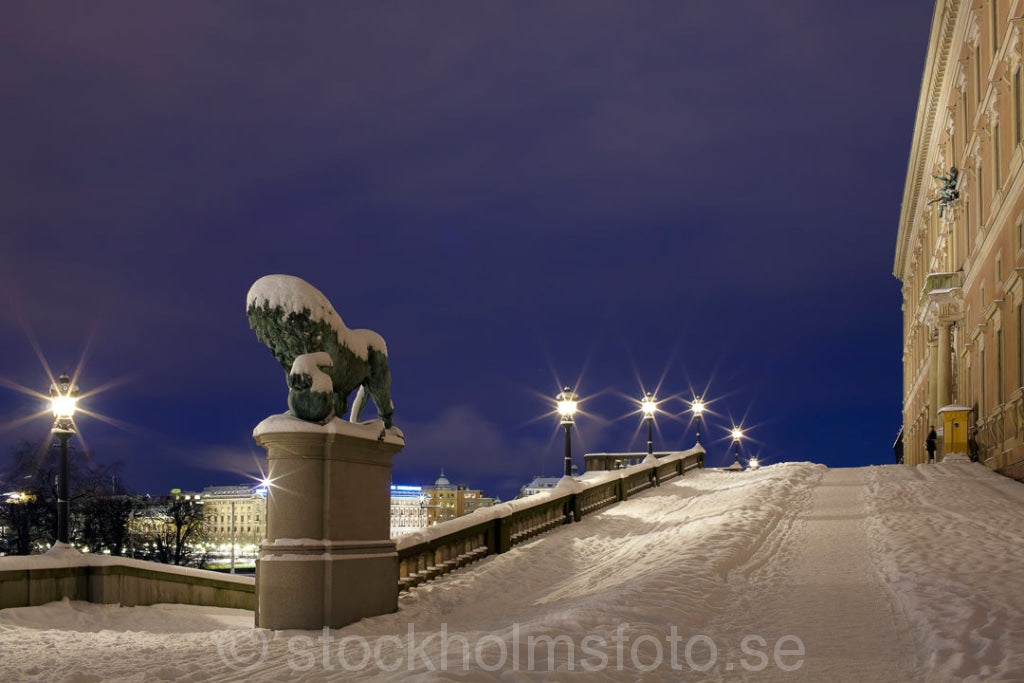 143346 - Lejonbacken vid Stockholms slott
