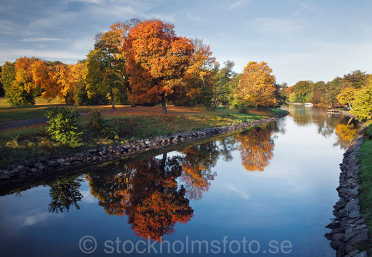 144453 - Höst vid Djurgårdsbrunn