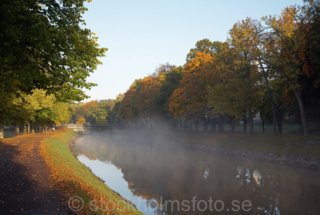 144635 - Vid Djurgårdsbrunn