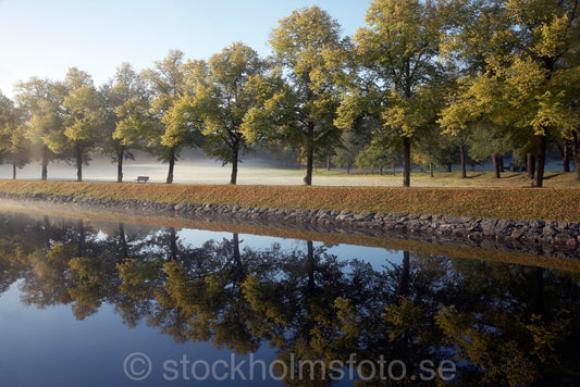 144638 - Morgon vid Djurgårdsbrunn