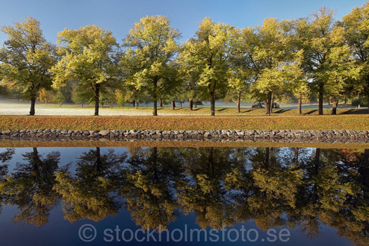 144639 - Morgon vid Djurgårdsbrunn