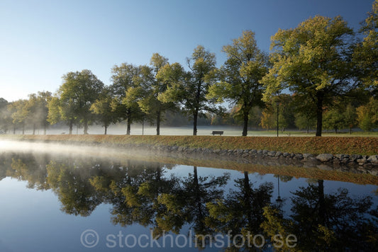 144640 - Morgon vid Djurgårdsbrunn