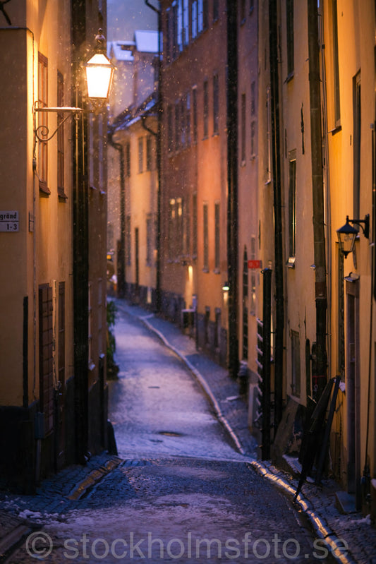 144955 - Prästgatan i Gamla stan