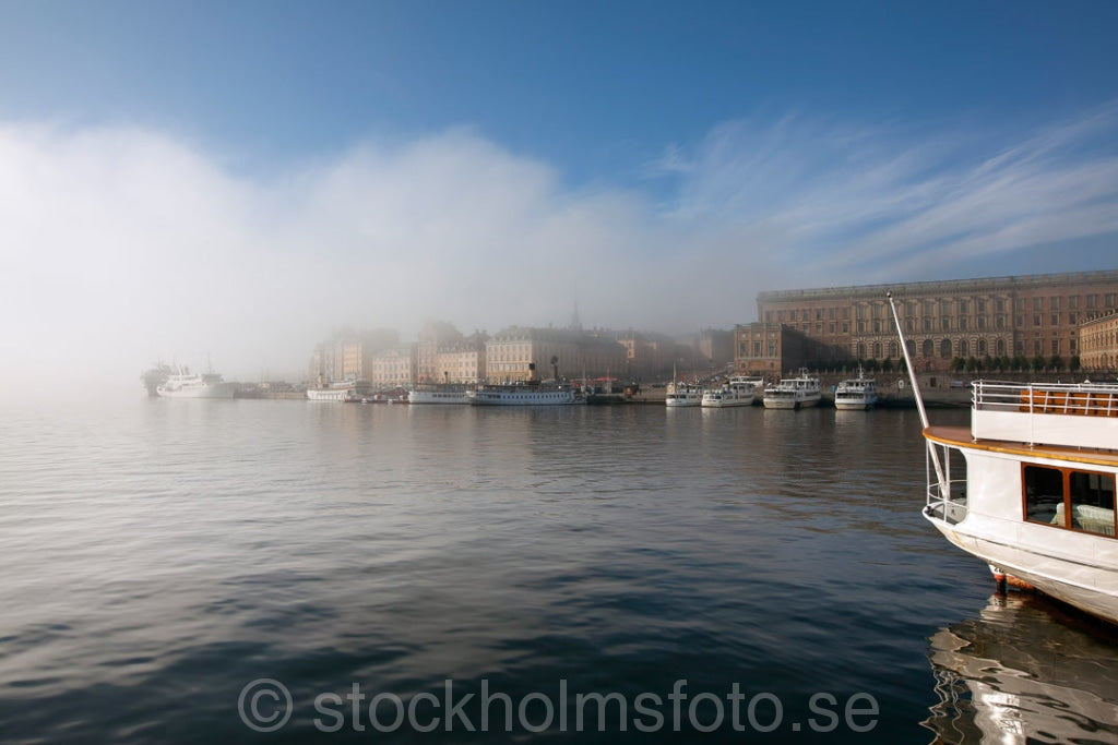 145072 - Strömmen i morgondimma