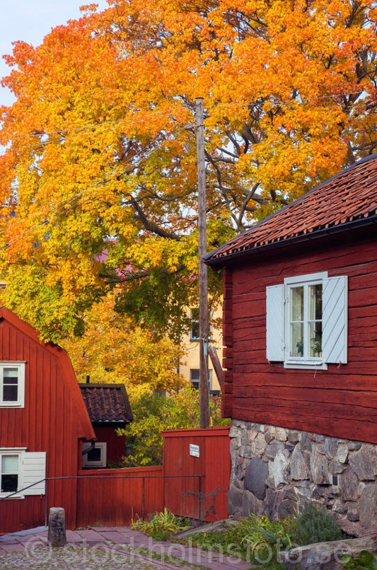 145087 - Söderkåkar på hösten