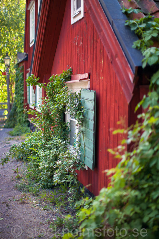 145105 - Söderkåkar i grönska