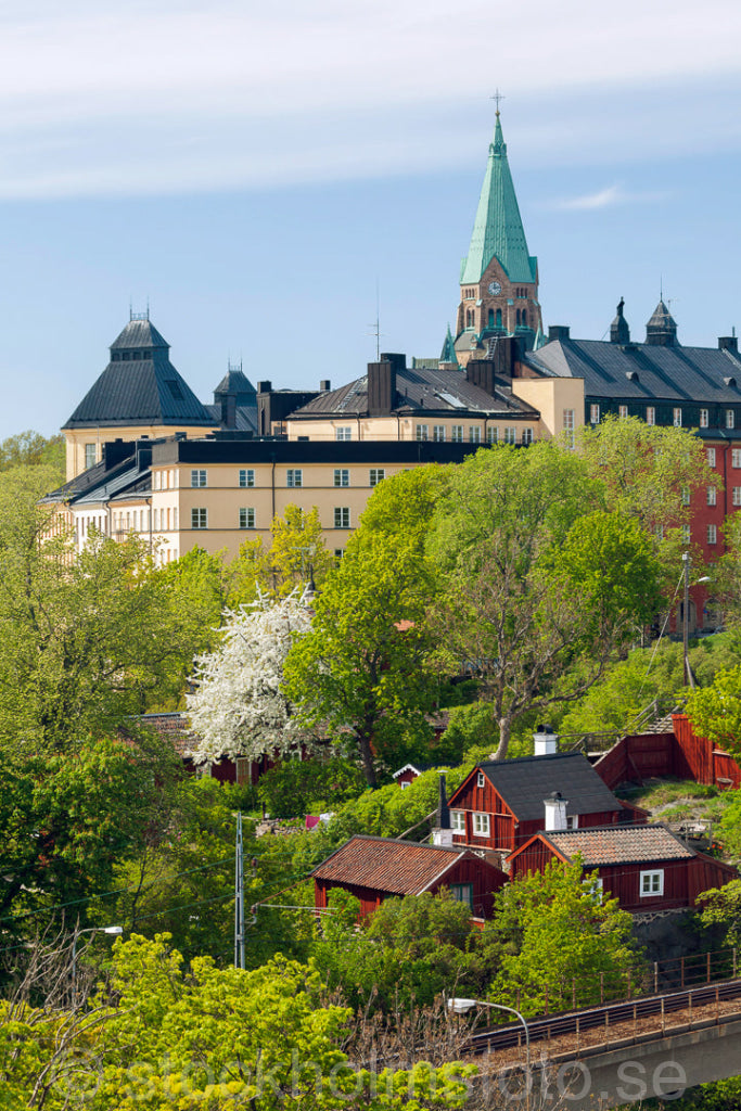 145155 - Åsöberget på sommaren