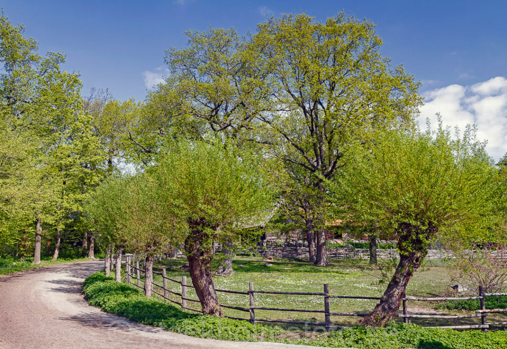 145161 - Vår på Skansen