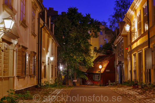 145204 - Sommarkväll på Breda gatan