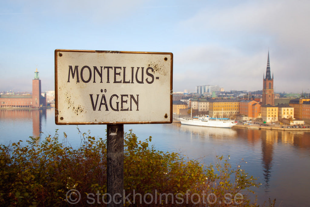 145248 - Monteliusvägen