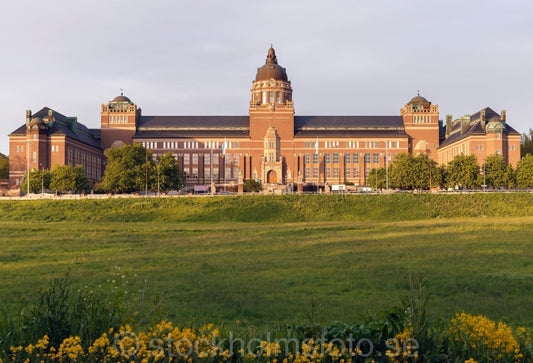 145319 - Naturhistoriska riksmuseet