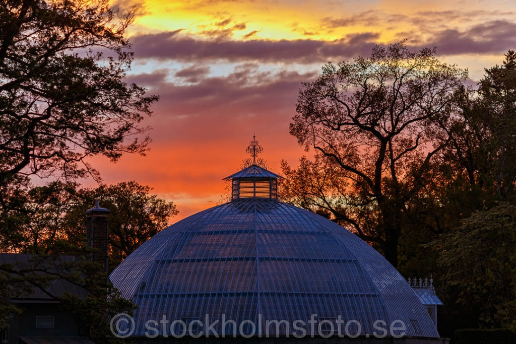 145323 - Victoriahuset på Bergianska