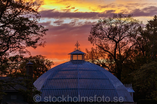 145323 - Victoriahuset på Bergianska