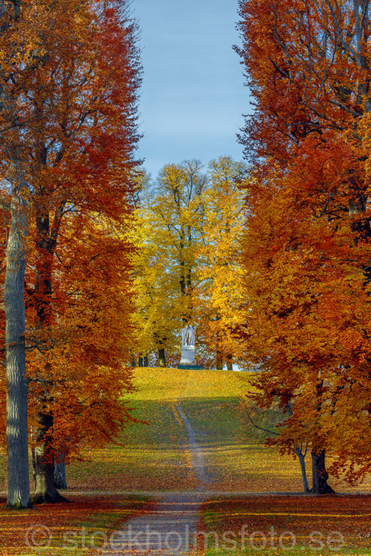 145417 - Höst på Drottningholm