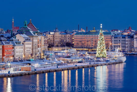 145425 - Skeppsbron vid Juletid