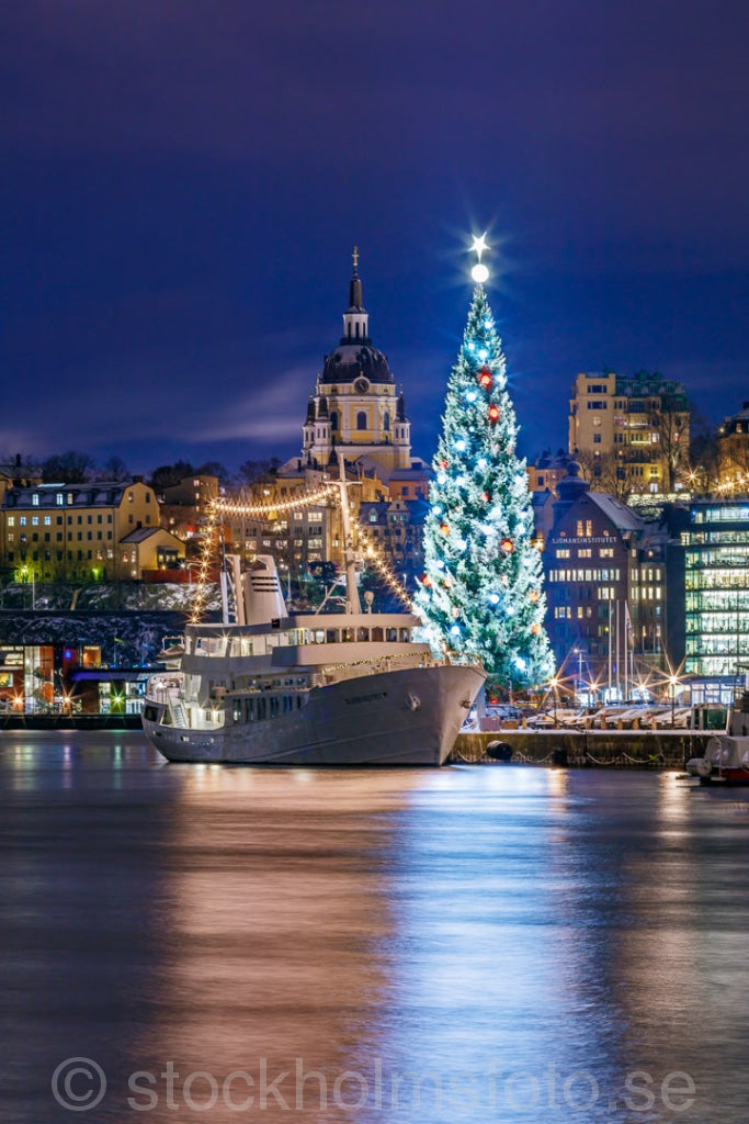 145432 - Julgranen på Skeppsbron