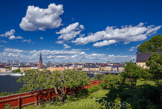 145478 - Trädgård på Mariaberget