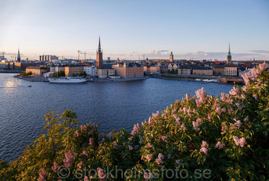 145485 - Utsikt från Monteliusvägen