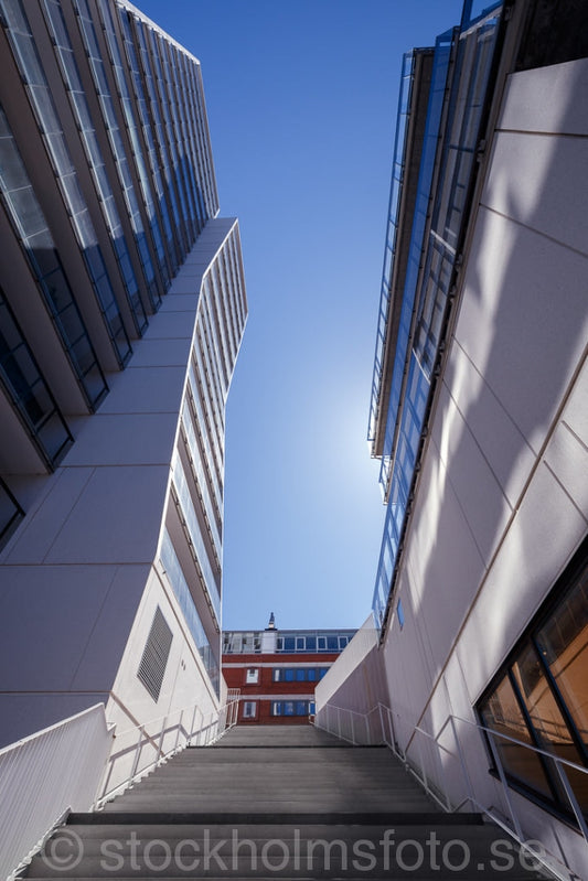 145492 - Alviks Torn