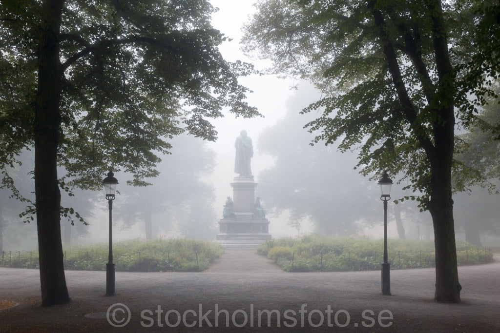 145694 - Linnéstaty i Humlegården