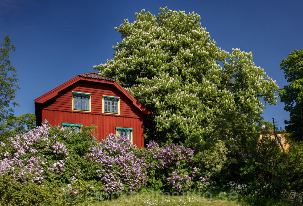 145810 - Hus och Vårgrönska