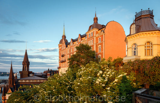 145868 - Sommarkväll på Mariaberget