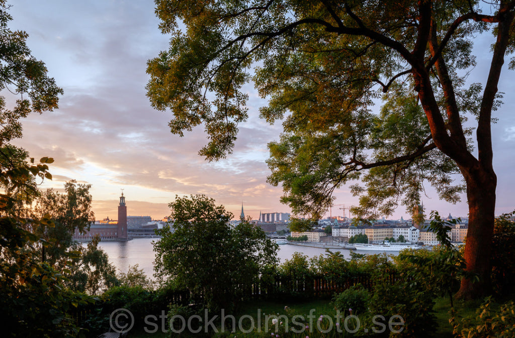 145871 - Trädgård på Mariaberget