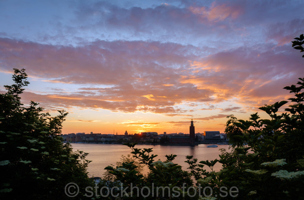 145873 - Solnedgång över Stadshuset