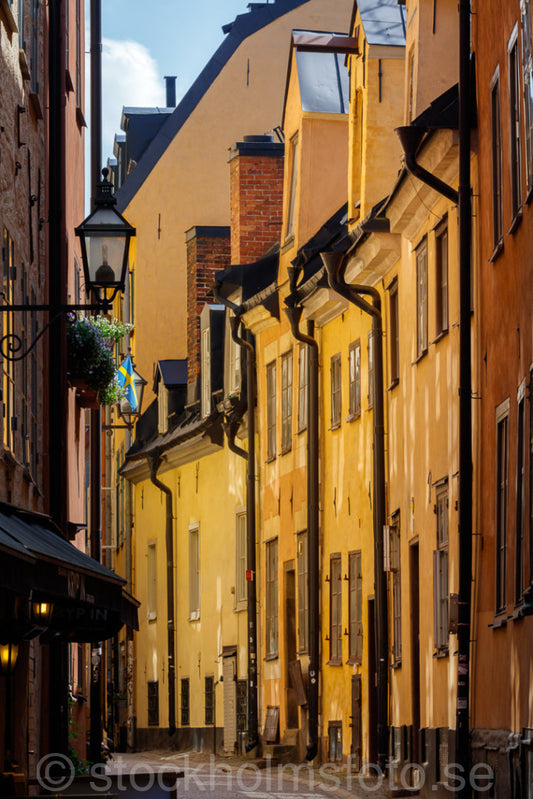 145882 - Prästgatan i Gamla stan