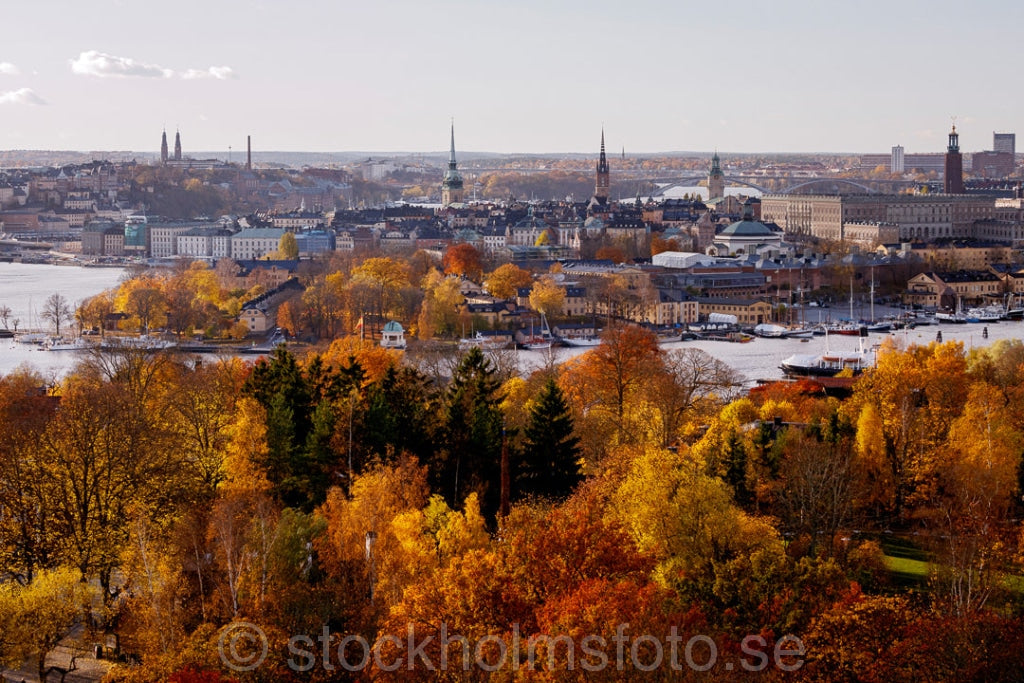 146049 - Stockholm i höstskrud