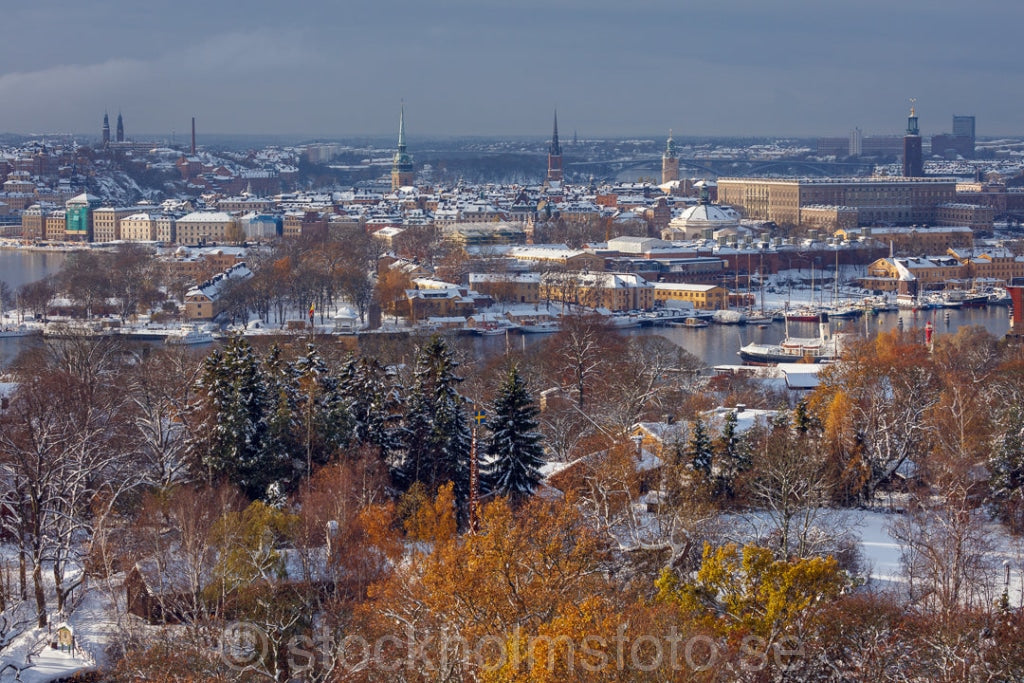 146093 - Senhöst i Stockholm