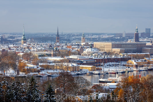 146094 - Utsikt från Djurgården