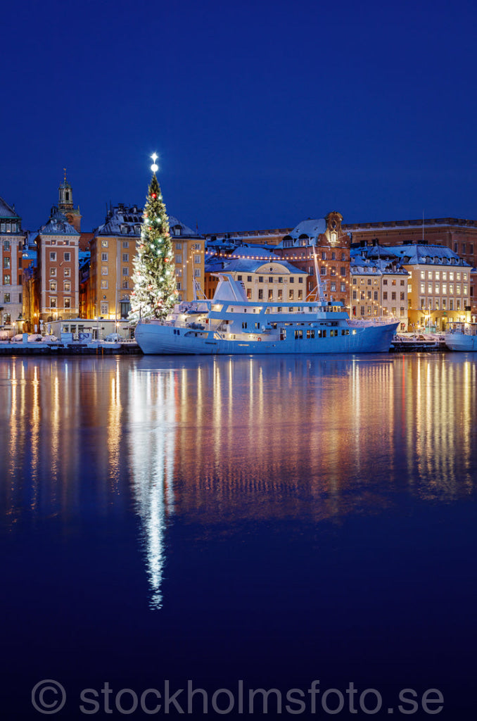 146146 - Julgranen vid Skeppsbron