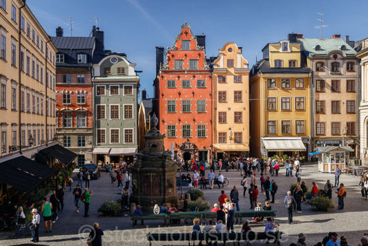 146172 - Folkliv på Stortorget