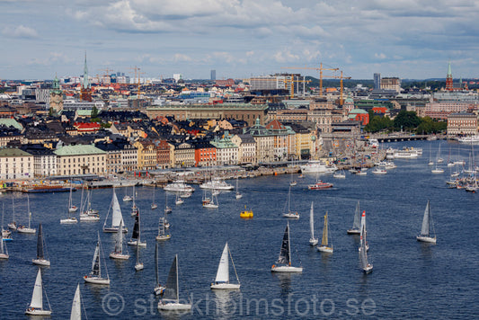 146229 - ÅF Offshore Race