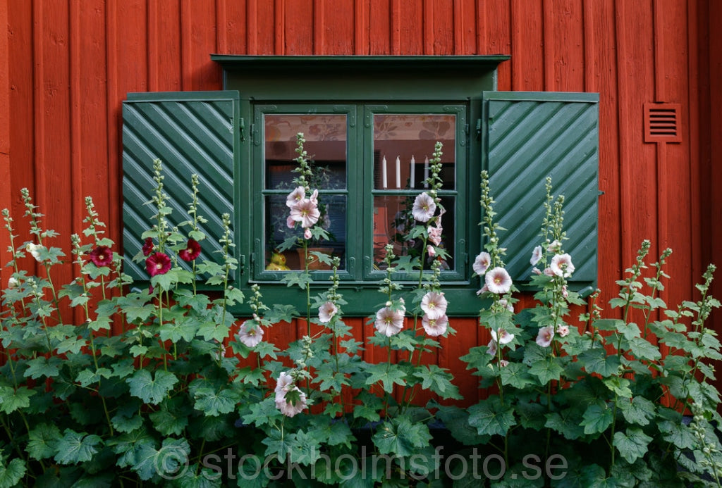 146238 - Fönster i Djurgårdsstaden