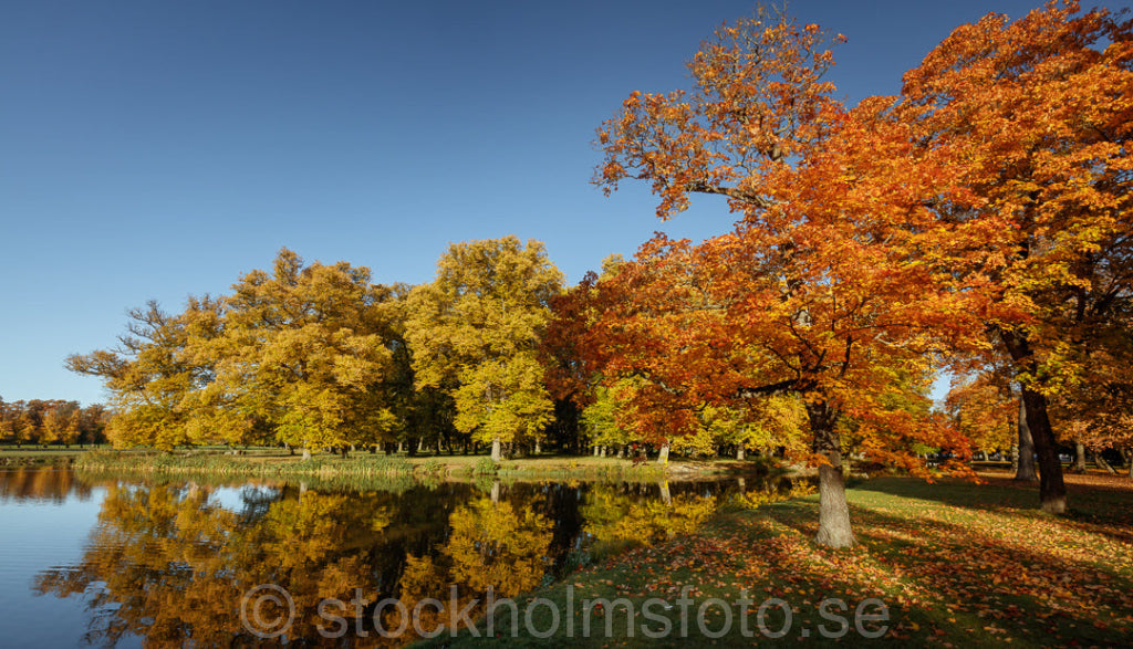 146255 - Drottningholmsparken