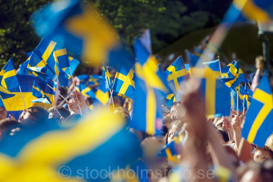 146419 - Svenska flaggor