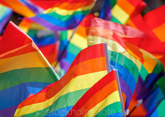 146595 - Prideflaggor