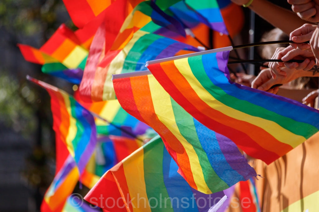 146596 - Prideflaggor