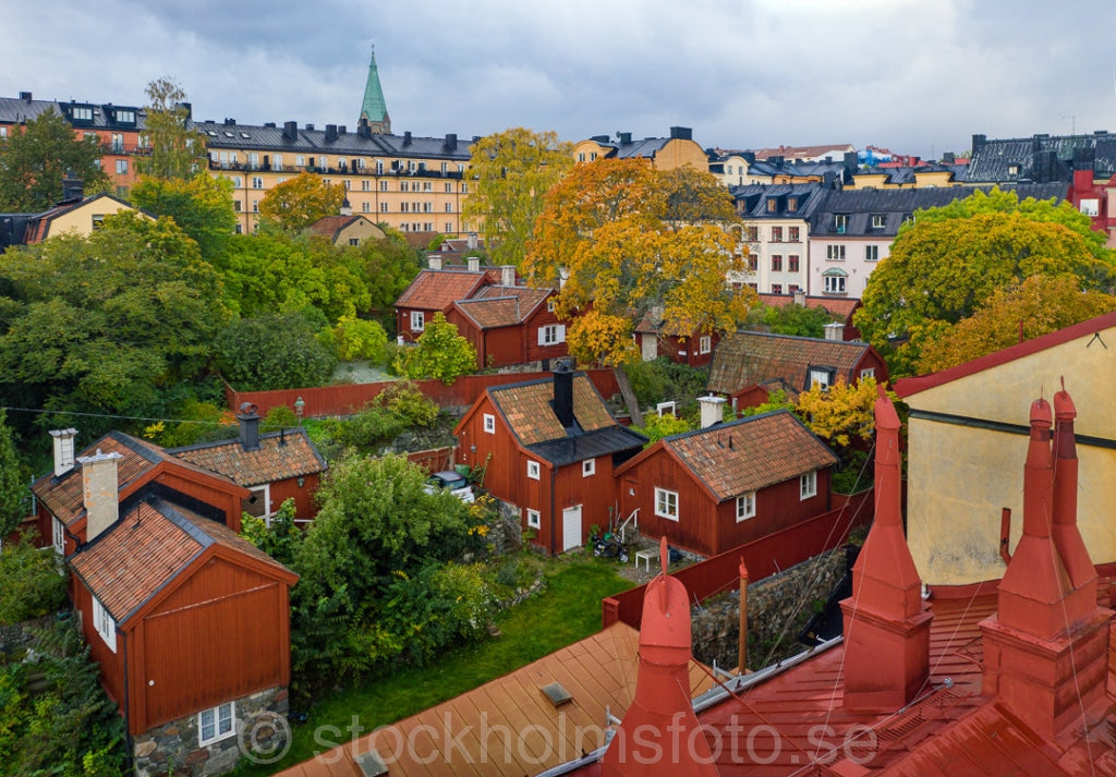 146610 - Höst på Åsöberget