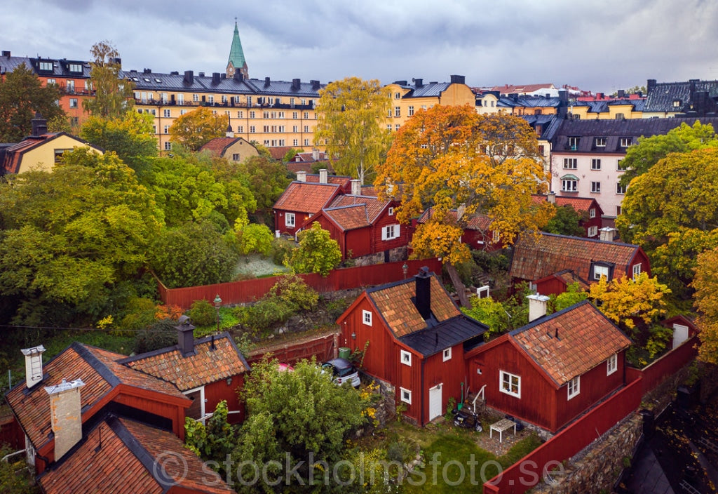 146611 - Höst vid Lotsgatan