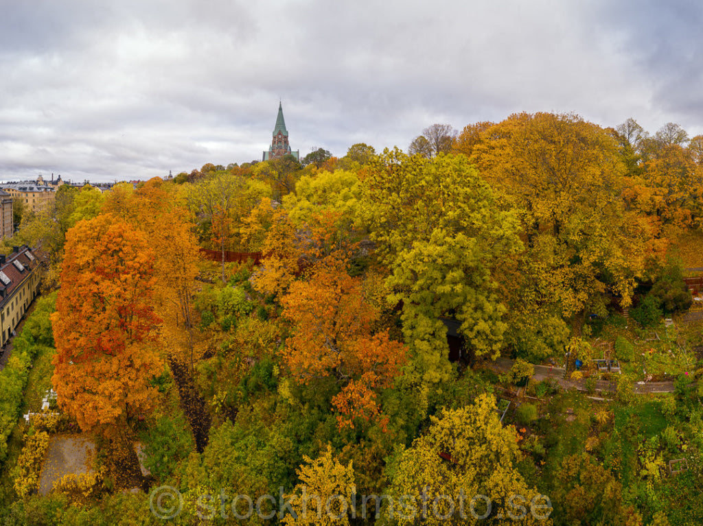 146619 - Höst i Vitabergsparken