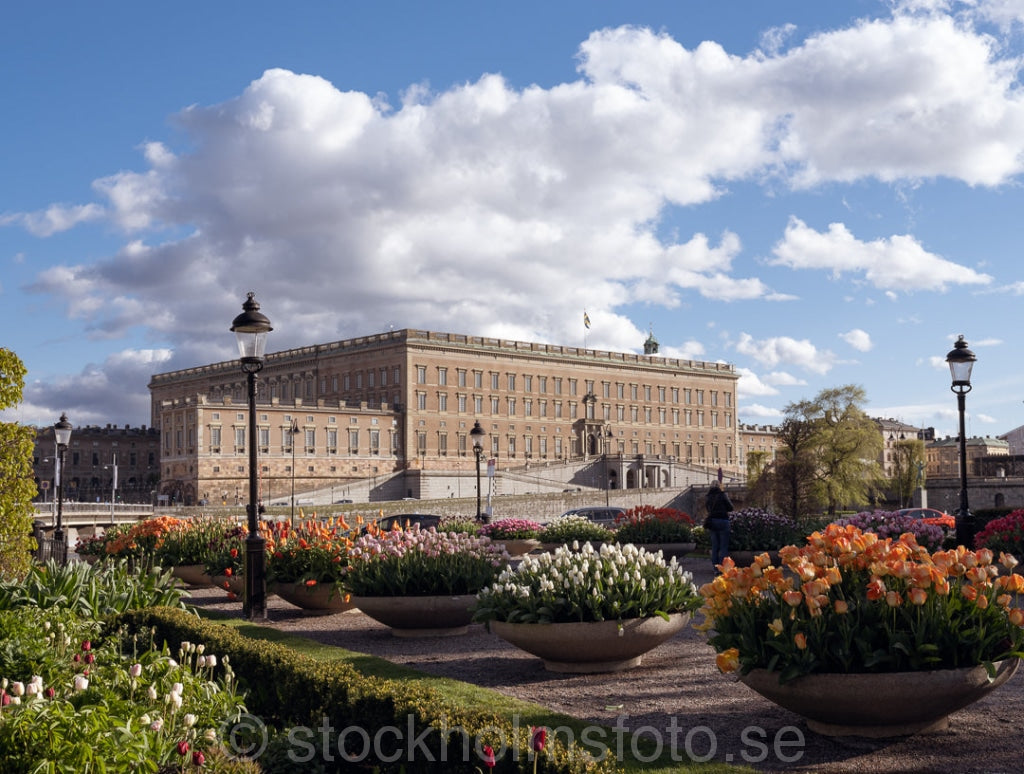 147324 - Kungsträdgården och Slottet